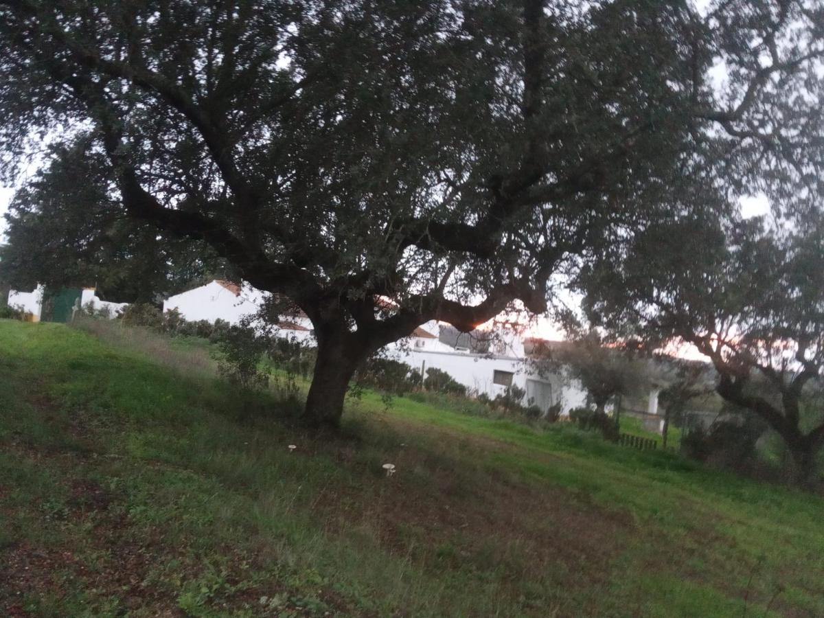 Villa Monte Da Samarra Avis Exterior foto