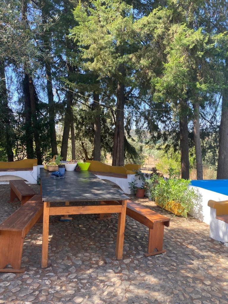 Villa Monte Da Samarra Avis Exterior foto